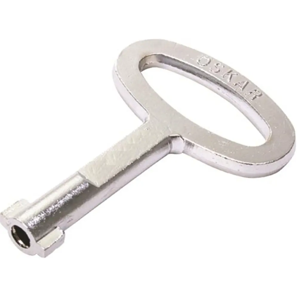 Key, medium, 3 mm double-bit, chrome, photograph