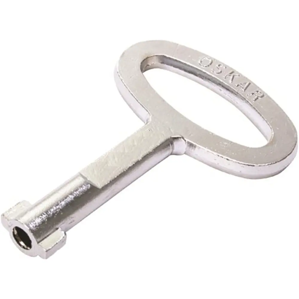 Key, medium, 5 mm double-bit, chrome, photograph