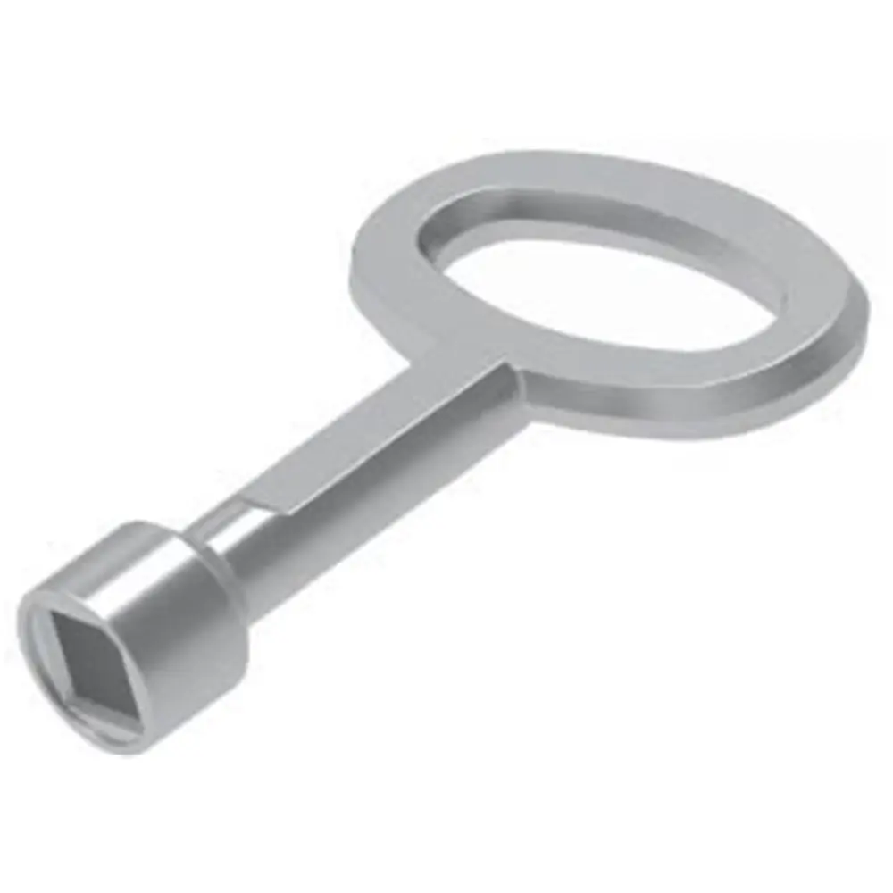 Key, large, 6 mm square, chrome, photograph